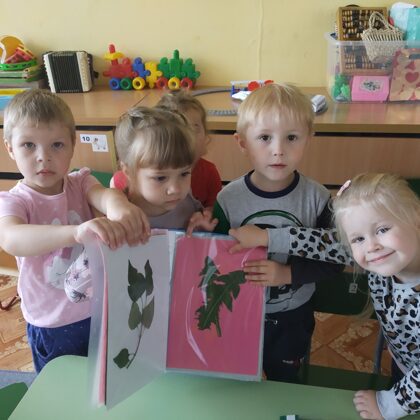 В месте с детьми  изготовили альбом "Гербарий"