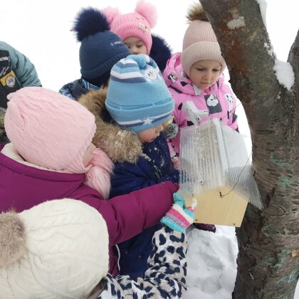 Покормим птиц зимой