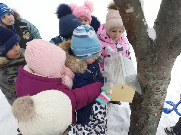 Покормим птиц зимой